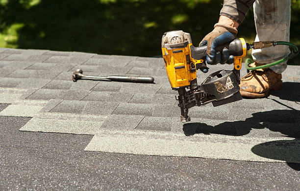 Best Roof Gutter Cleaning  in North Fair Oaks, CA